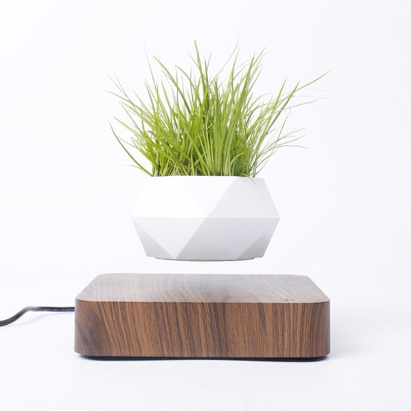 Elevate Your Home Decor with Levitating Air Bonsai Pot